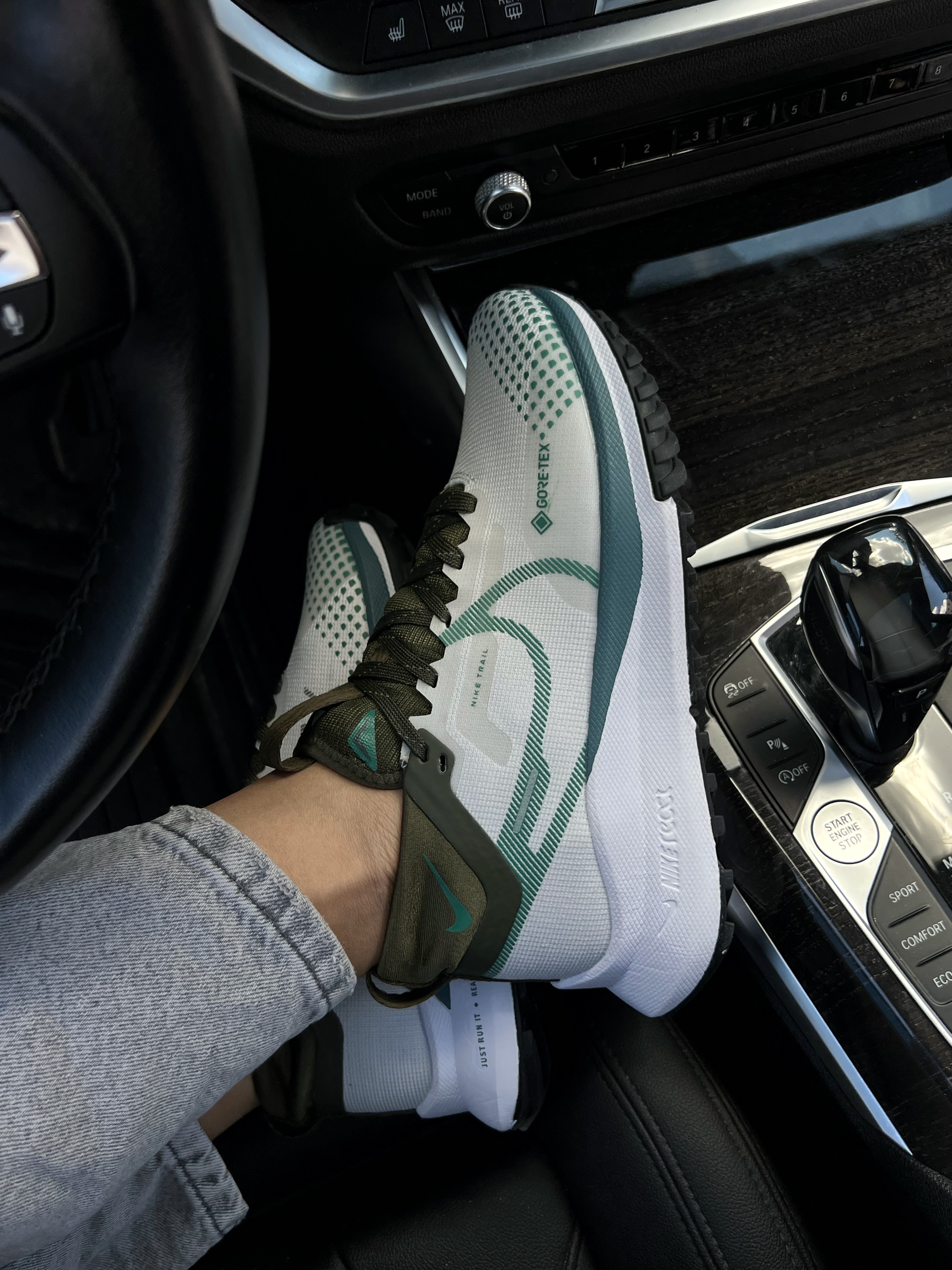 Nike Pegasus Trail 4 Gore Tex Premium
