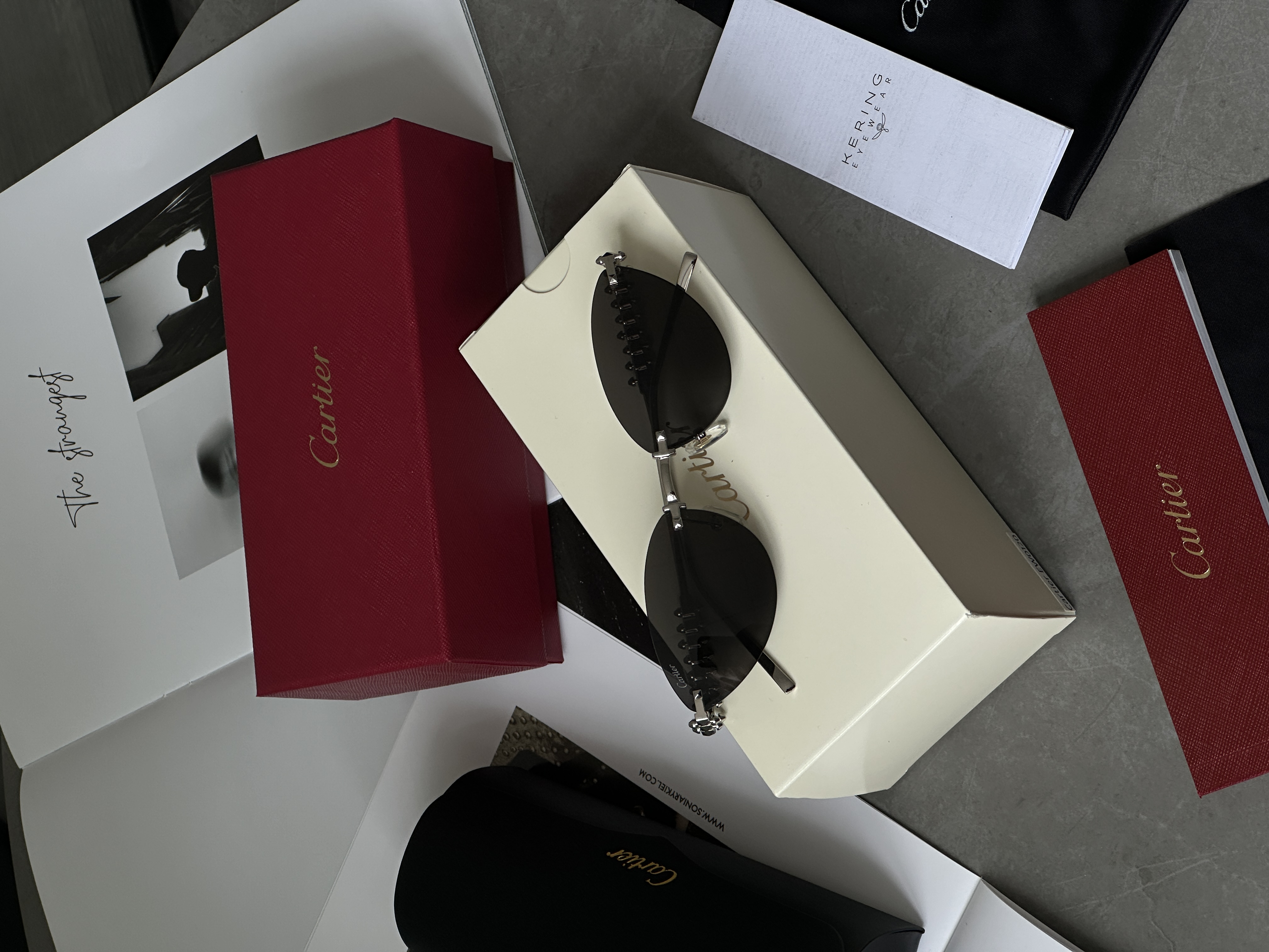 Cartier Clash Black/Silver CT0543S 001L cat.2 58/17/140