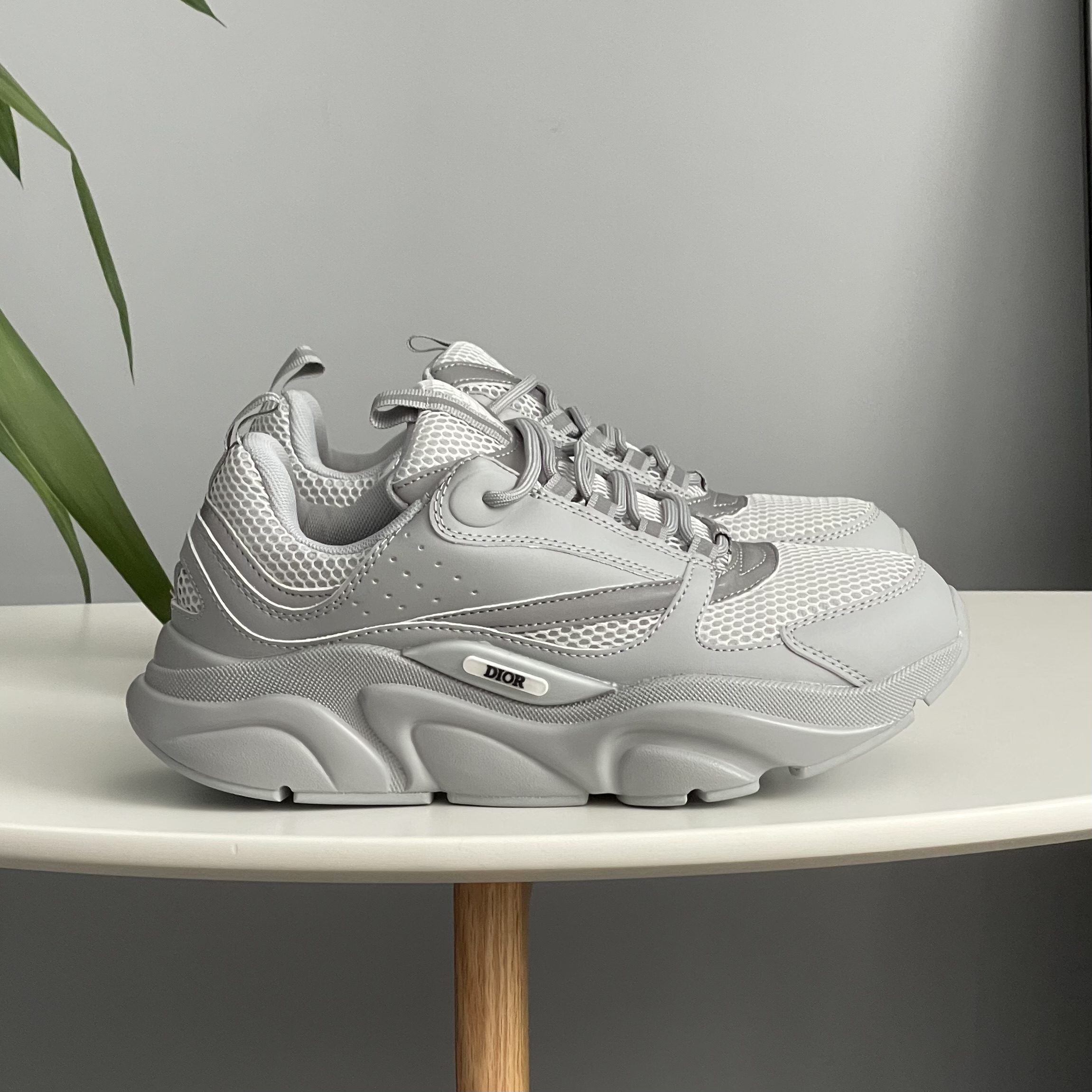 Dior B22 Grey
