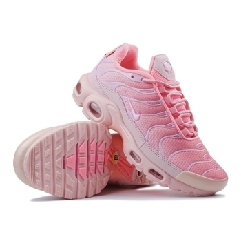 Nike Nike Air Max TN Pink Fade