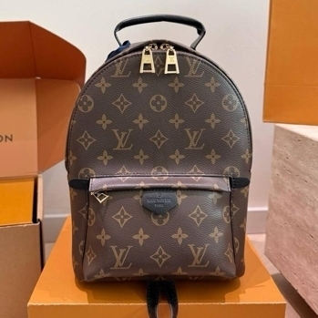 Louis Vuitton Рюкзак Louis Vuitton Palm Springs Medium size, фото 6
