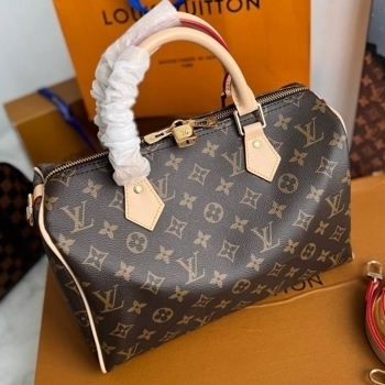Louis Vuitton Louis Vuitton Speedy 30, фото 6