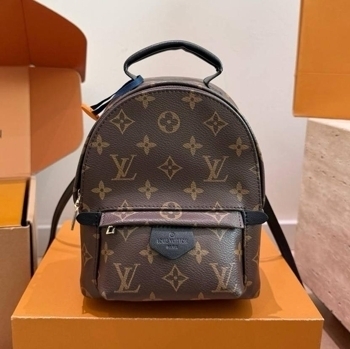 Louis Vuitton Рюкзак Louis Vuitton Palm Springs Mini size, фото 6