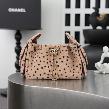 Chanel Chanel 25 Mini Handbag, фото 6
