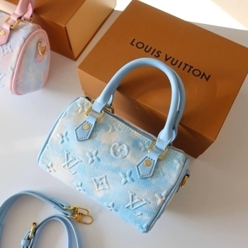 Louis Vuitton Louis Vuitton Speedy 20, фото 6