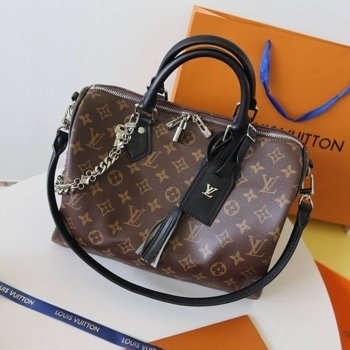 Louis Vuitton Louis Vuitton Speedy 30, фото 6