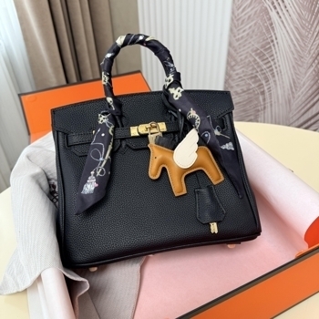 Hermes Hermès Birkin 25 Black Togo Leather with Gold Hardware
