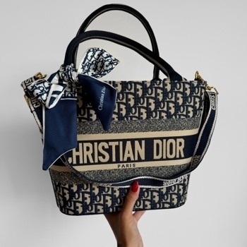 Dior Dior Book Tote Oblique