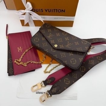 Louis Vuitton Louis Vuitton Pochette Felicie Monogram Canvas