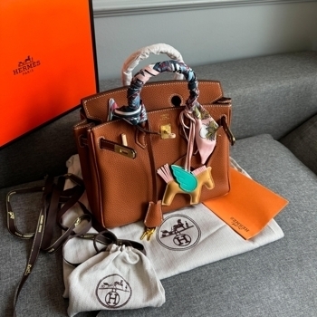 Hermes Hermès Birkin 25 Gold Togo Leather with Gold Hardware
