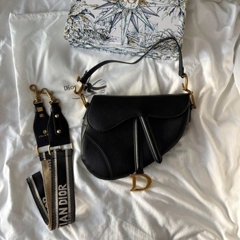 Dior Dior Saddle Premium