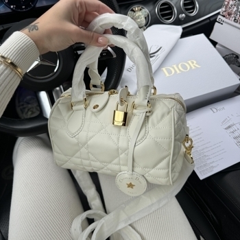 Dior Dior Groove Small Bag in White Cannage Calfskin with Gold
