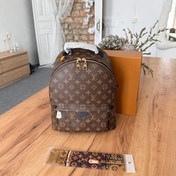 Louis Vuitton Louis Vuitton Palm Springs Backpack Monogram Canvas