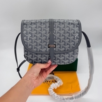 Goyard Goyard Belvedere Grey Canvas