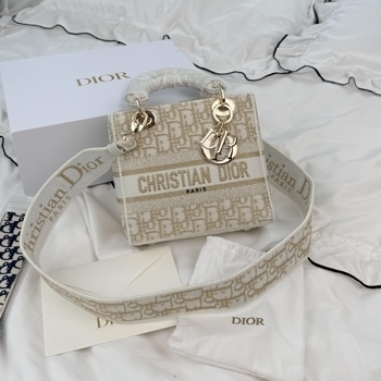 Dior Dior Lady D-Lite Embroidered