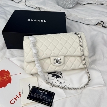 Chanel Chanel Classic Flap 25 Light Cream Silver Hardware