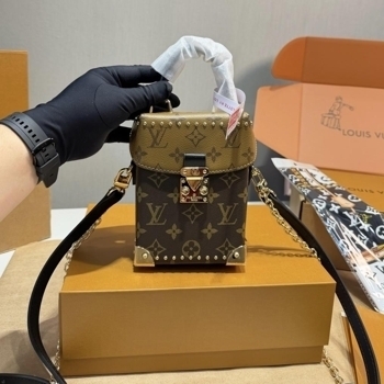 Louis Vuitton Louis Vuitton Camera Box Monogram Canvas