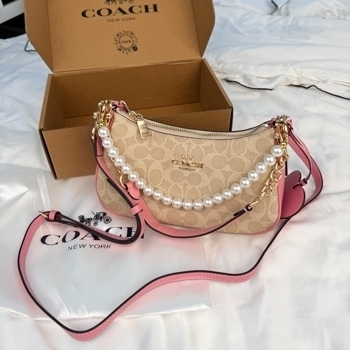 Coach Coach Signature Canvas Bag