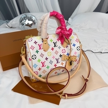 Louis Vuitton Louis Vuitton Speedy 25 White Multicolor Monogram Murakami