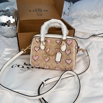 Coach Coach Signature Canvas Heart Print Bag