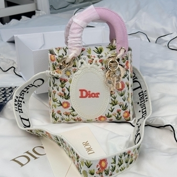 Dior Dior Lady D-Lite Embroidered