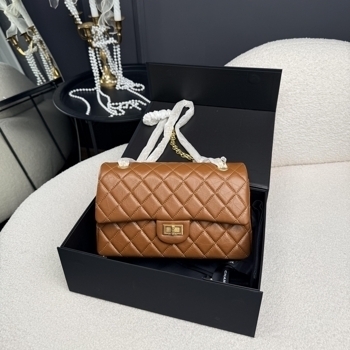 Chanel Chanel 2.55 Reissue 226 Brown Aged Calfskin with Gold