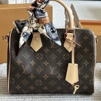Louis Vuitton Louis Vuitton Speedy 25 Monogram