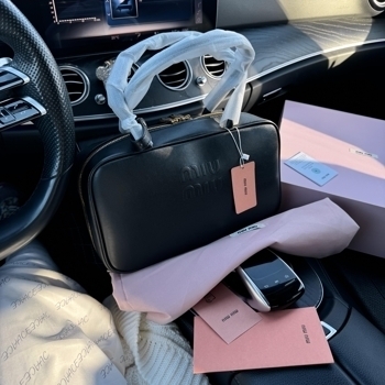 Miu Miu MiuMiu Beau Leather Top-handle Bag