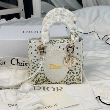 Dior Dior Lady D-Lite Embroidered