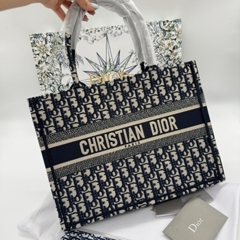 Dior Dior Book Tote Blue Dior Oblique Embroidery