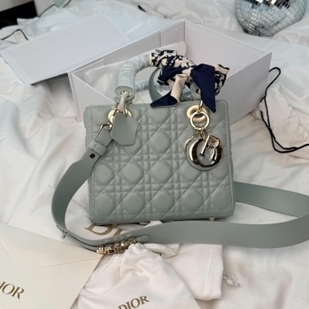 Dior Dior Lady Dior Bag Mint Gray with Gold