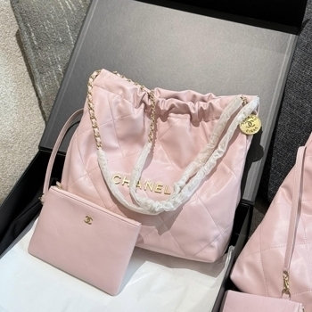 Chanel Chanel 22 Bag Calfskin Pink / Gold