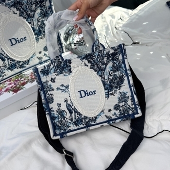 Dior Dior Book Tote Blue Toile Embroidery