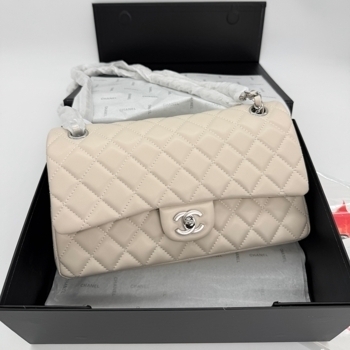 Chanel Chanel Classic Flap 25 Cream Silver
