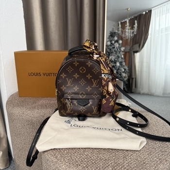 Louis Vuitton Louis Vuitton Palm Springs Mini Backpack Monogram Canvas