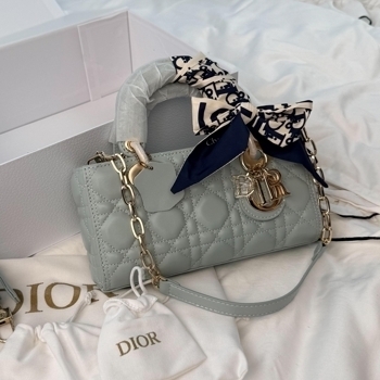 Dior Dior Lady D-Joy Bag Mint Gray with Gold