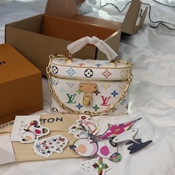Louis Vuitton Louis Vuitton Vanity PM Monogram Multicolor