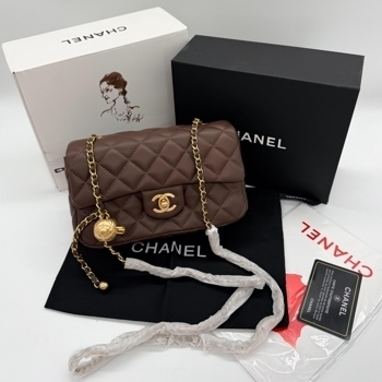 Chanel Chanel Mini 20 Classic Flap Bag in Brown with Gold